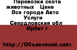 Перевозка скота животных › Цена ­ 39 - Все города Авто » Услуги   . Свердловская обл.,Ирбит г.